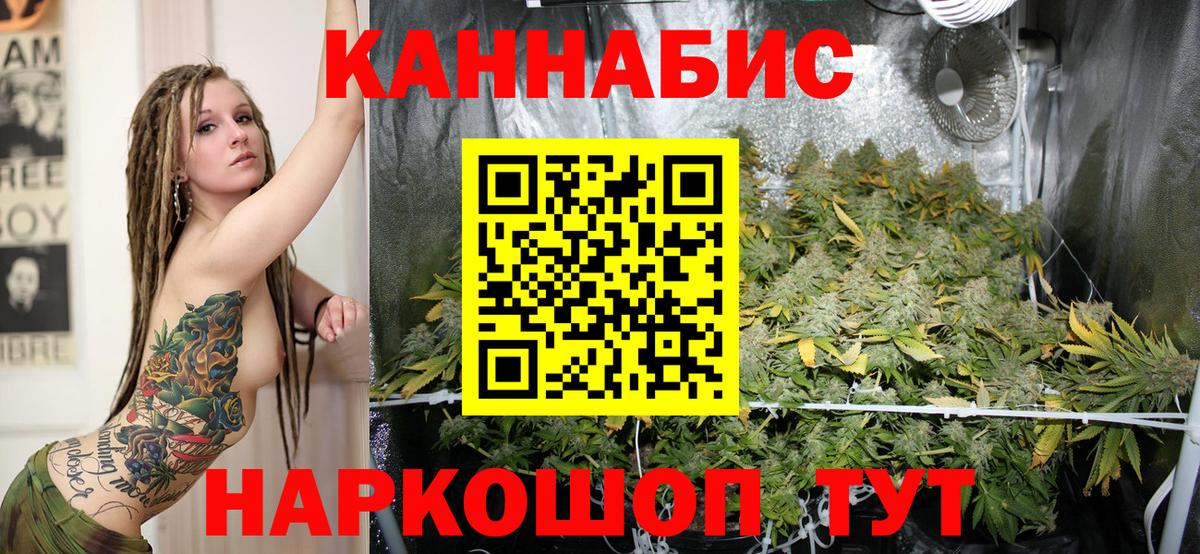 Шишки марихуана индика  Вход с VPN  Владивосток  Бошки марихуана план  Каннабис Amnesia 